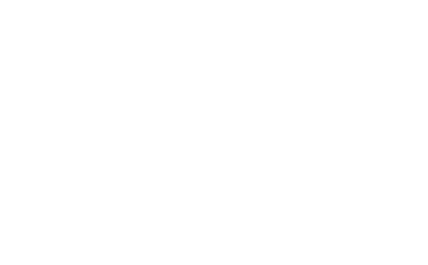 Dell EMC Partner logo